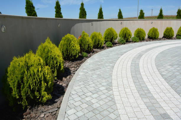 Best Brick Driveway Pavers  in Willow Park, TX